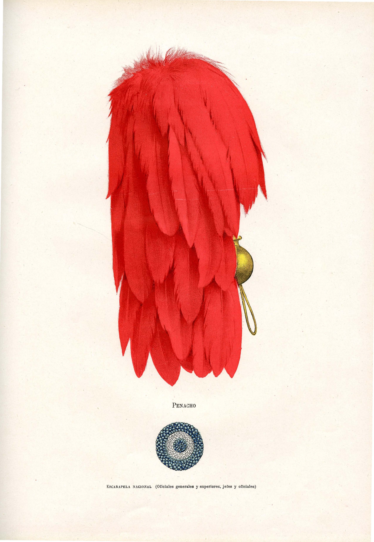 Arriba: Penacho. Abajo: Escarapela Nacional - Oficiales generals y superiores, jefes y oficiales