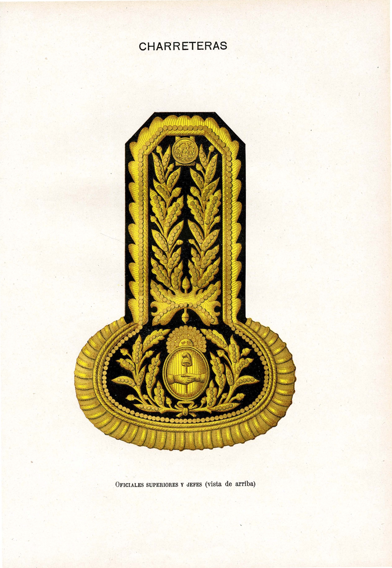 Charretera de Oficiales Superiores y Jefes - Vista de arriba