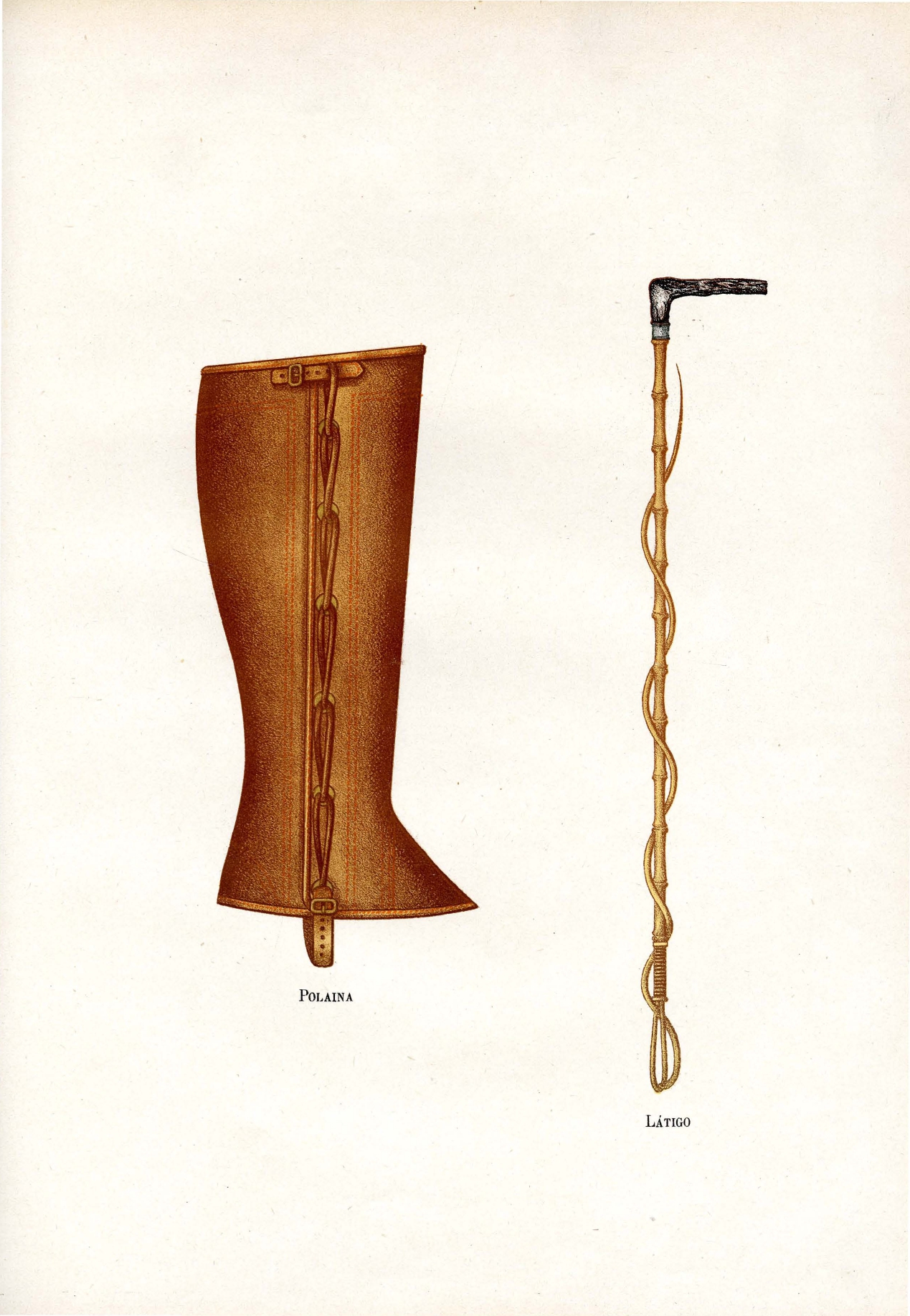 Polaina y látigo