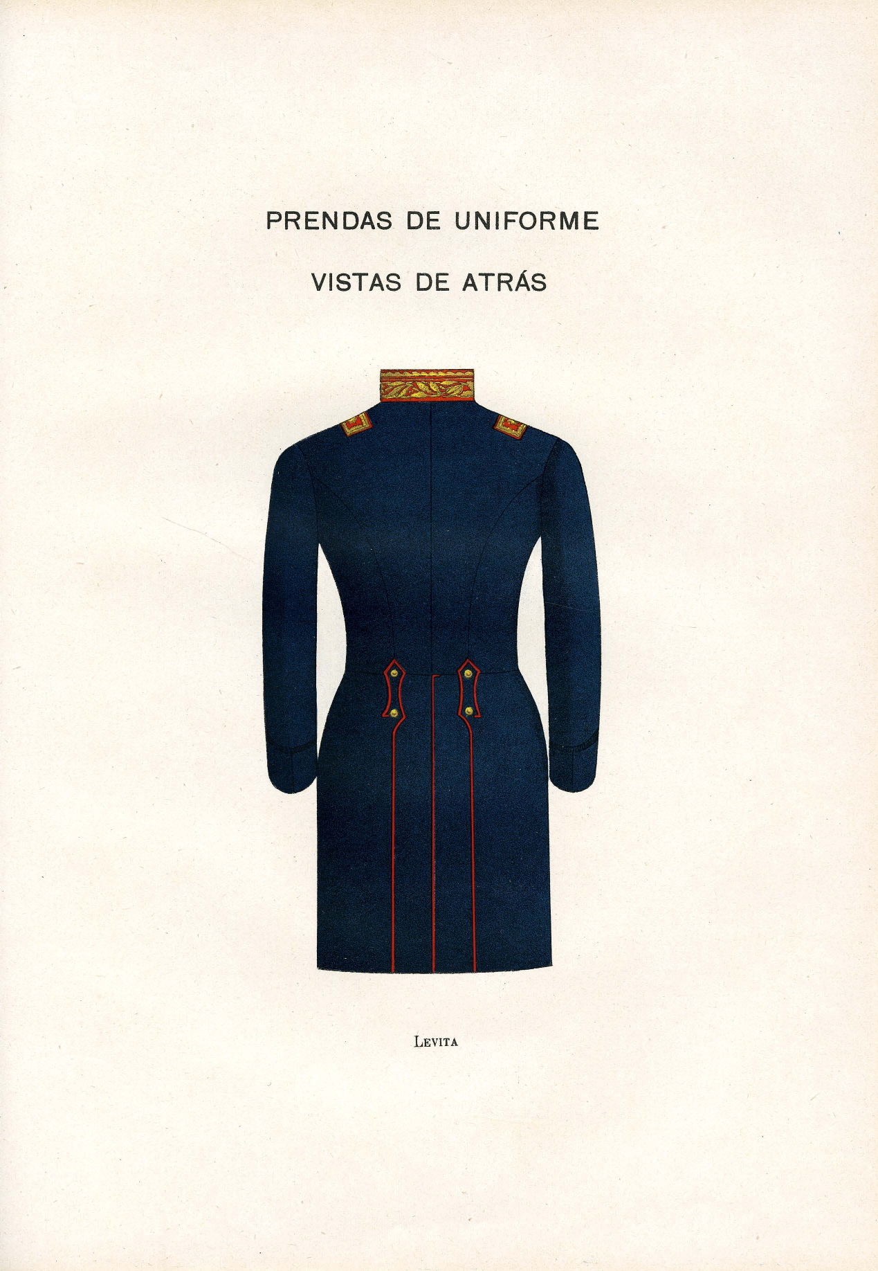 Levita vista de atrás