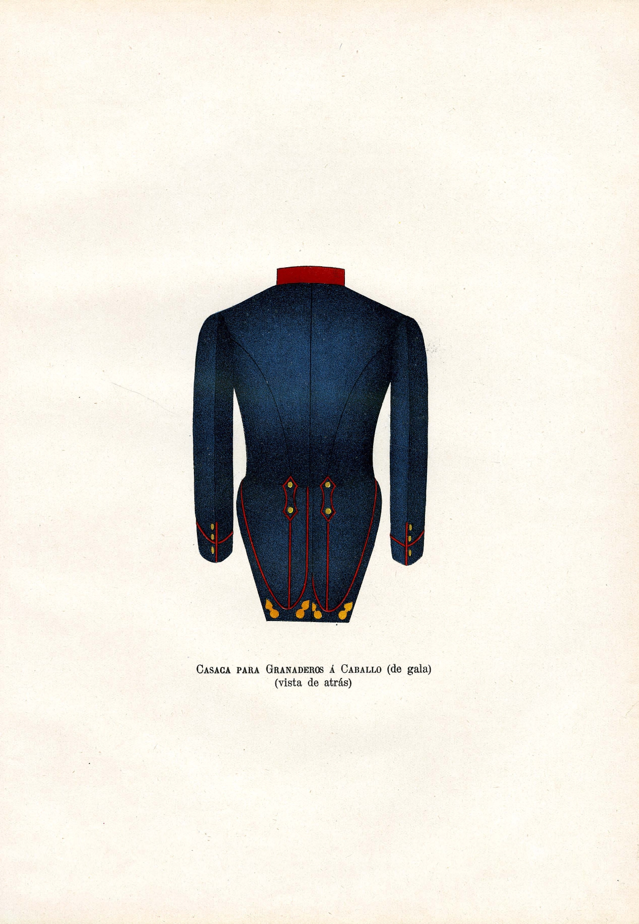Casaca para Granaderos a Caballo - de gala - vista de atrás